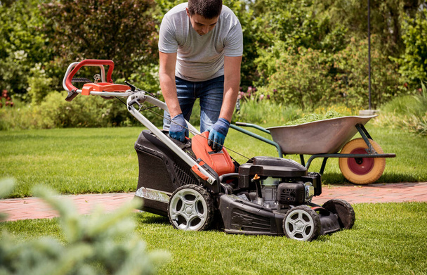Gardener emptying lawn mower grass into a wheelbarrow after mowing. - Zdjęcie, obraz