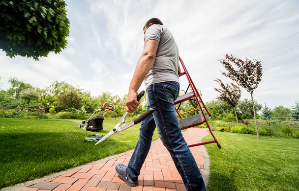 Professional gardener goes to cut trees with garden scissors and ladder - Fotoğraf, Görsel