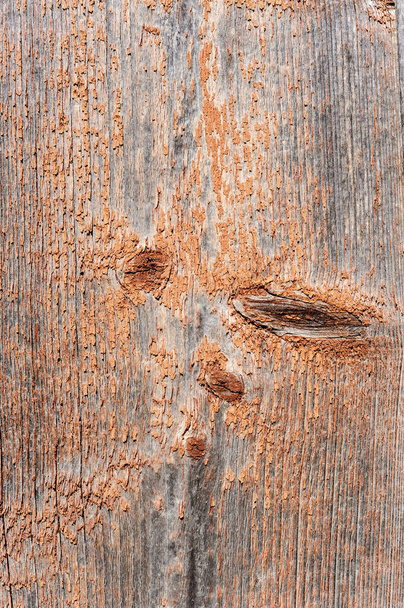 Стара дерев'яна текстура з залишками очищеної фарби
. - Фото, зображення
