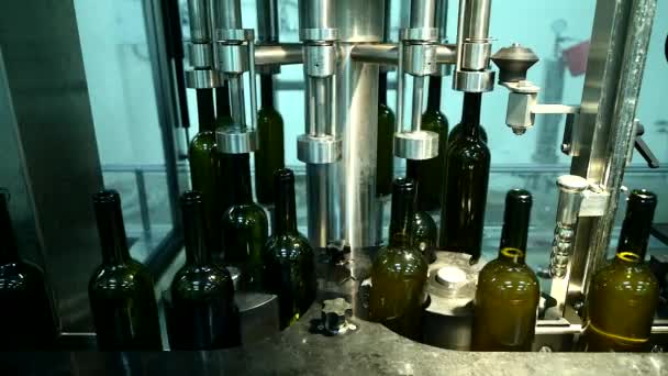 transportador com garrafas de vinho na fábrica de vinho, engarrafamento de vinho branco
 - Filmagem, Vídeo