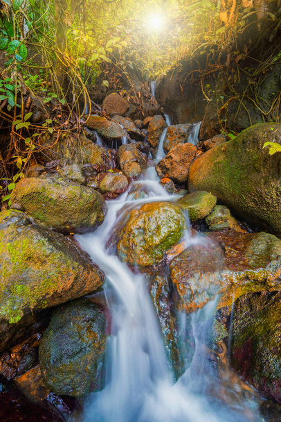 クルグスウブルーノ滝は、その自然の美しさを楽しむための美しい観光地です。この滝はPurworejoの熱帯林の間に位置しています-インドネシア - 写真・画像