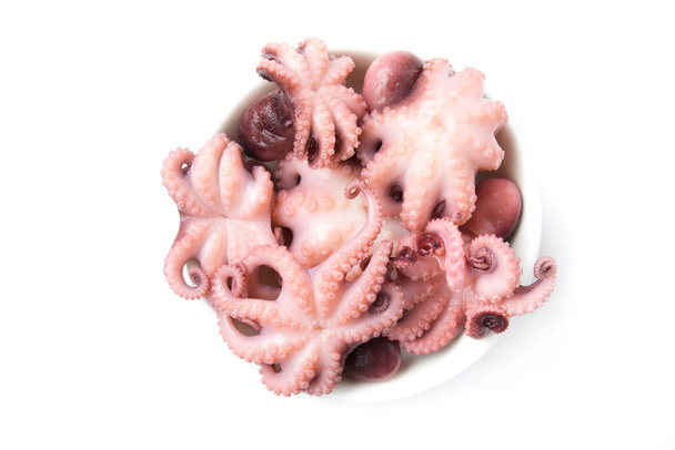 Malá chobotnice izolovaná na bílém pozadí. Jídlo z mořských plodů. Horní pohled. - Fotografie, Obrázek