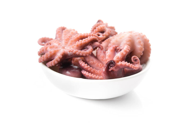 Kleine octopus geïsoleerd op een witte achtergrond. Vismeel. - Foto, afbeelding