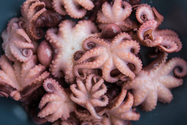 Malá nakládaná chobotnice v červené pánvi na smažení. Asijské jídlo. Zelené pozadí - Fotografie, Obrázek