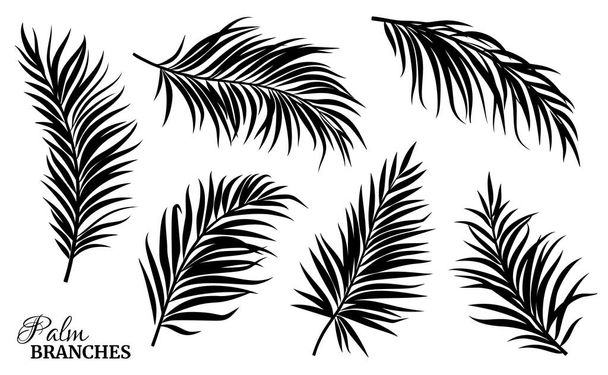Black silhouettes of palm leaves of different shapes. Vector illustration - Vector, Image
