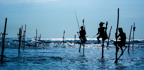 Sri Lanka pescador tradicional de zancos
 - Foto, Imagen
