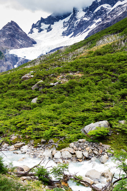 A táj epikus szépsége - a Torres del Paine Nemzeti Park Dél-Chilében. Lago Nordernskjold és hegyek a háttérben. Valle de Frances és Glacier Frances kilátás. - Fotó, kép