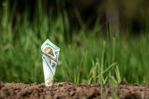 American dollars grow out of the ground like plants against a backdrop of greenery. The concept of investment, passive income, interest, stocks, dividends. Copy space - Photo, image