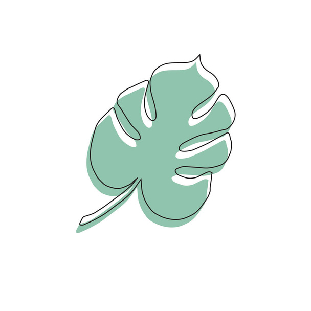 Vector hand drawn doodle sketch green monstera palm leaf isolated on white background - Vetor, Imagem