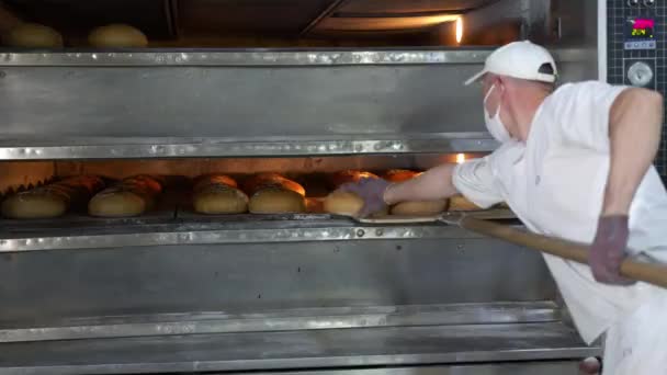 Lo chef rimuove dal forno i prodotti da forno appena sfornati. Il pane cotto viene rimosso dal forno in una panetteria.. - Filmati, video