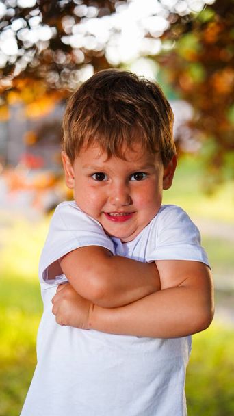 Portret van een schattig jongetje in het zomerpark. Grappig kind dat op groen gazon staat met gevouwen armen op de borst - Foto, afbeelding