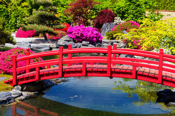 Japonská zahrada v Kjótu. Jaro je velmi krásná sezóna k návštěvě zahrad, chrámů a svatyně. - Fotografie, Obrázek