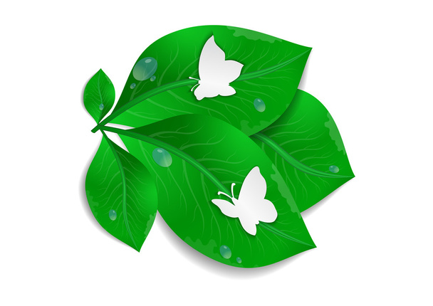 Бумажные бабочки и зеленые листья
 - Вектор,изображение