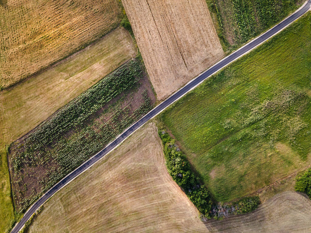 Vista aérea de arriba hacia abajo drone foto campo agrícola carretera - cultivos rurales rurales organizados diferentes patrones de forma asfalto de una sola línea y árboles - concepto de estilo de vida sostenible libertad simplicidad
 - Foto, imagen
