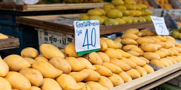 aankoop van tropisch fruit op de markten van Azië. Mangovruchten voor koken en eten - Foto, afbeelding