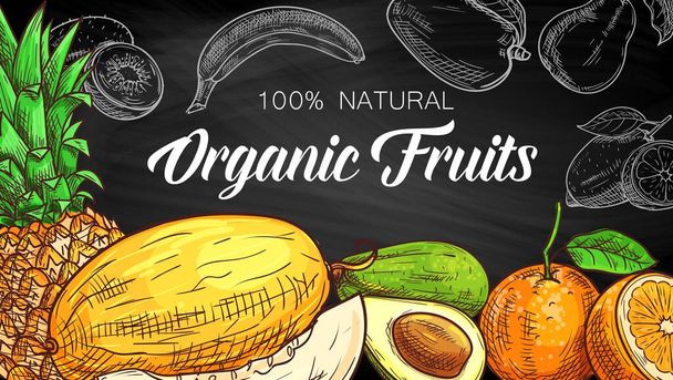 Karatahtaya, organik gıdaya, vektör çiftlik pazarına tropikal meyve çizimi. Egzotik tropik portakal, ananas, kavun ve avokado, mandalina turunç ve mango, armut, muz ve kivi meyveleri tebeşir tahtasında. - Vektör, Görsel