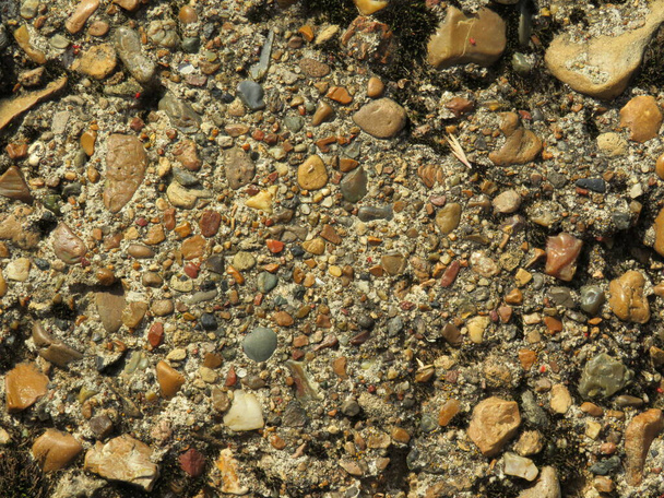 Background of small sea and river stones. - Photo, Image