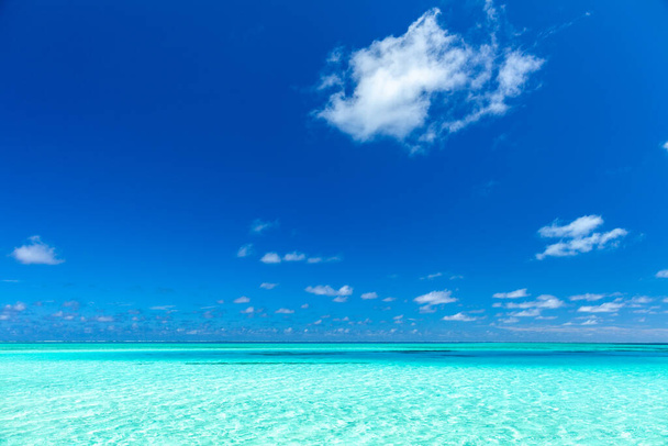 モルディブの素晴らしい空の風景。ドローンや飛行機からの完璧な青い海とサンゴ礁の景色。エキゾチックな夏の旅行や休暇の風景、砂州付きのラウンジャー。自由と逃亡の概念. - 写真・画像