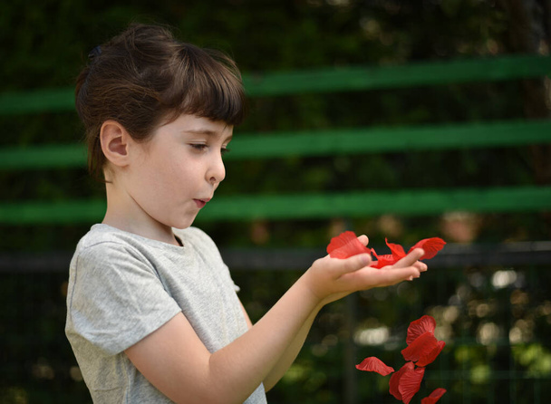 A little girl blows on red petals to make them fly from her hands, profile picture on a dark background - Photo, Image