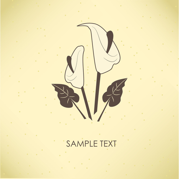Vintage greeting card with calla lily flower. - Vector, Image