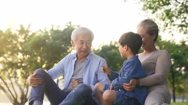 asiático abuelos sentado al aire libre en hierba hablando tener divertido con nieto
 - Imágenes, Vídeo