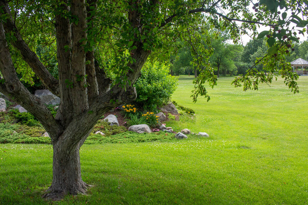 Vue paysage d'un jardin de rochers derrière un arbre, dans un jardin botanique ensoleillé - Photo, image