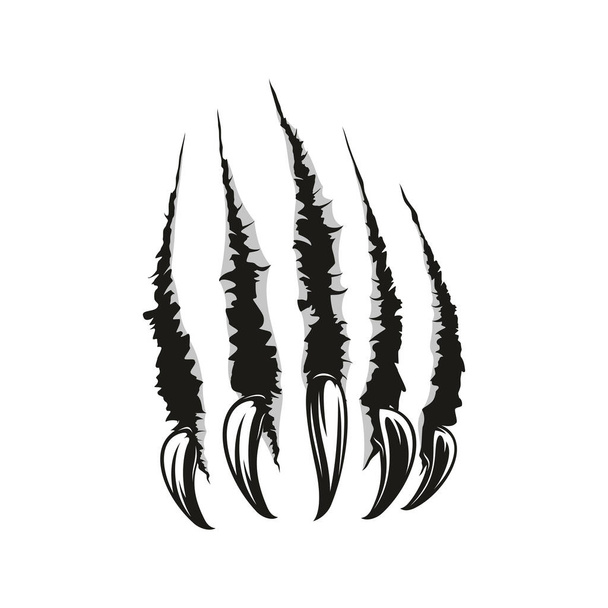 Claws scratches, torn paper trails. Vector wild animal sharp claw slash marks - Vector, Image