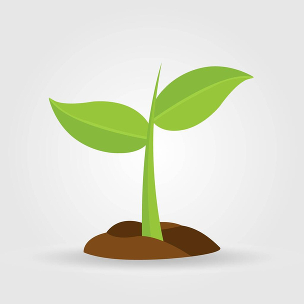 Growth of plant, from sprout to vegetable. Planting tree. - Vector, Image