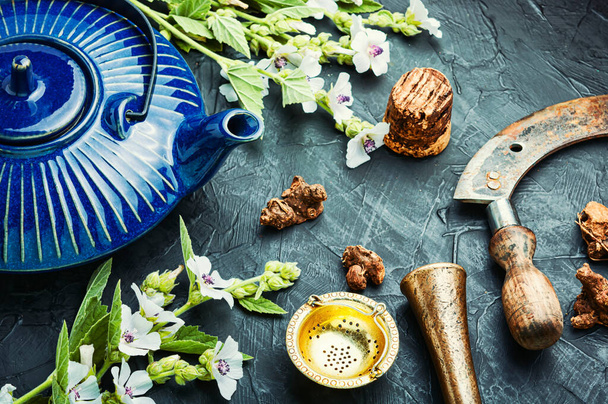 Gyógyító gyógynövény tea az althaea gyökér egy kerámia teáskanna. - Fotó, kép