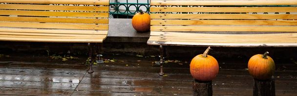 апельсиновые насосы возле скамеек в парке в осенний сезон
   - Фото, изображение