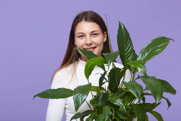 Woman with flower green plant in hands, lady in white shirt holding anubias, looking smiling directly at camera, female with long hair standing against lilac wall. - Zdjęcie, obraz