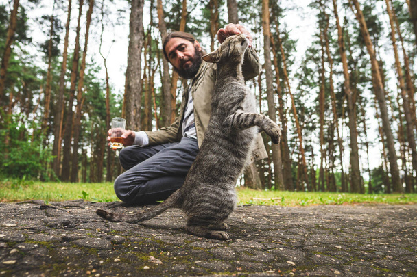 A man plays with a gray tabby cat, The cat performs the trick. - Foto, Imagen