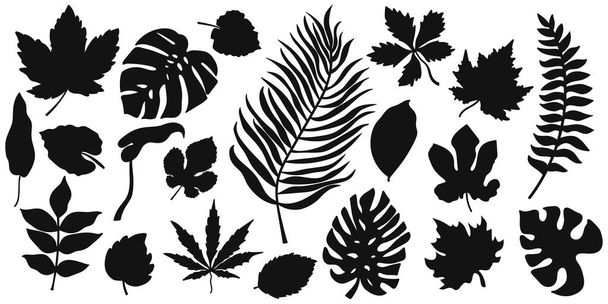 Le icone del set di foglie Doodle isolate sul bianco. Stencil se ne va. Illustrazione del titolo vettoriale. EPS 10 - Vettoriali, immagini