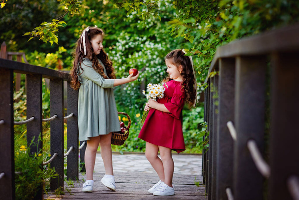 Lapsuuden, perheen ja luonnon kauneuden käsite. Sisaret kävelevät puistossa omenakorin ja päivänkakkaroiden kanssa. Hymyilevät tytöt puhuvat keskenään.. - Valokuva, kuva