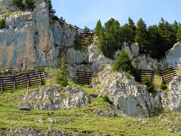 Металлические и деревянные конструкции для защиты от лавин на горе Матторн в горном массиве Пилатус, Альпнах - кантон Обвальден, Швейцария (Кантон Обвальден, Швайц)
) - Фото, изображение