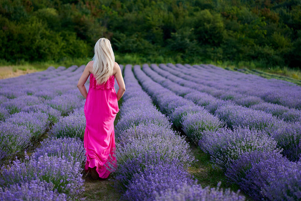 Young blonde woman in pink dress in a lavender field with various poses - Фото, зображення