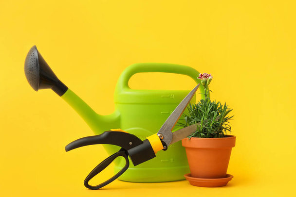 Інструменти для садівництва на кольоровому фоні
 - Фото, зображення