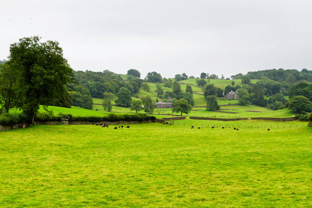 Campos verdes con vacas bajo un cielo nublado. Panorama colorido sobre los prados de las tierras de cultivo de vacas del valle inglés en el Parque Nacional Lake District, Inglaterra, Reino Unido
 - Foto, imagen