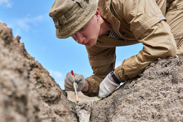 homem arqueólogo ou paleontólogo limpa suavemente o osso fóssil encontrado no chão com uma escova
 - Foto, Imagem