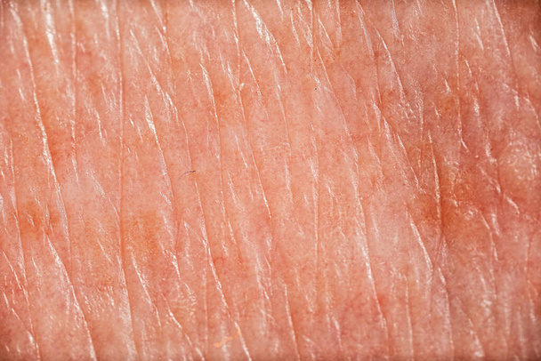 Photo macro détaillée de la peau humaine. Texture détaillée. Gros plan arrière-plan - Photo, image