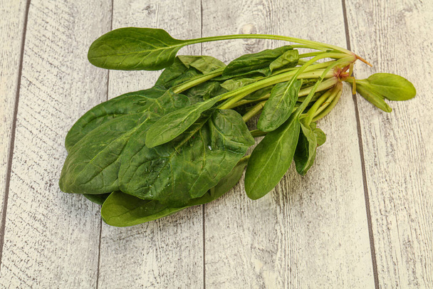 Kuchnia wegańska - Świeże zielone liście szpinaku stos - Zdjęcie, obraz