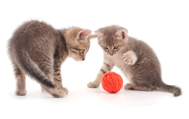 Two little kittens playing with a ball of yarn isolated on white background. - Φωτογραφία, εικόνα