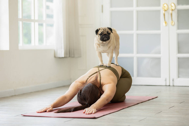 Asian young woman practice yoga with dog pug breed enjoy and relax with yoga at home,Recreation with Dog Concept - Foto, Bild