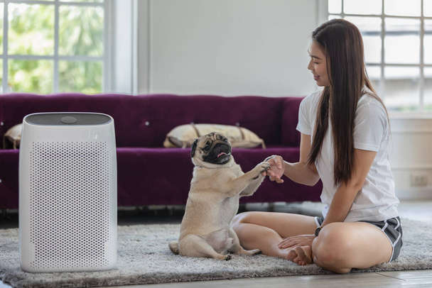 Woman playing with Dog Pug Breed and Air purifier in cozy white living room for filter and cleaning removing dust PM2.5 HEPA in home,for fresh air and healthy life,Air Pollution Concept - Photo, Image