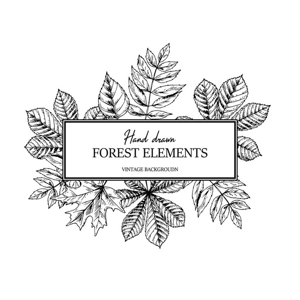 落ち葉で秋の植物のフレームを手描き。白に隔離されたスケッチスタイルでベクトルイラスト。現実的な森のデザイン要素テキストのためのスペース - ベクター画像