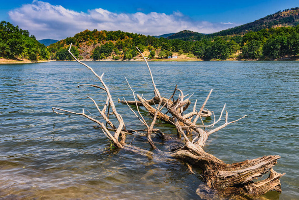 Bor-tó (Borsko jezero), egy mesterséges tó Kelet-Szerbiában, Bor város közelében - Fotó, kép