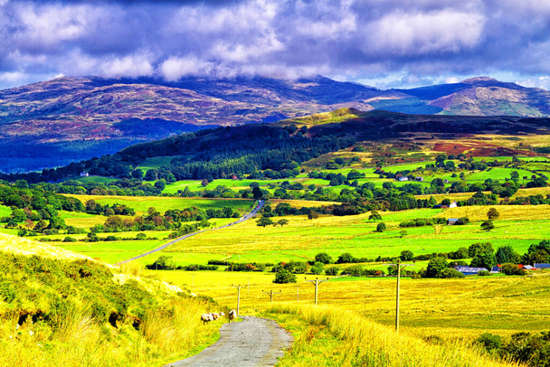 Vista de carretera a las montañas en el Parque Nacional Snowdonia en el norte de Gales del Reino Unido. Snowdonia es una cordillera y una región en el norte de Gales. Europa
 - Foto, imagen