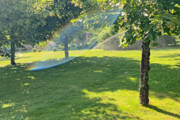 Automatic watering of parks in city. Grass and Trees Watering. Smart garden activated with full automatic sprinkler irrigation system working in a green park, watering lawn, flowers and trees. sprinkler head watering. Gardening concept - Photo, Image