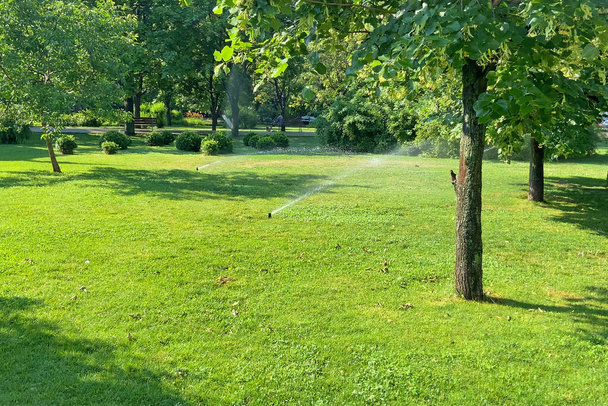 都市の公園の自動散水。草や木の散水。緑の公園、散水芝生、花や木で働く完全な自動散水灌漑システムで活性化スマートガーデン。スプリンクラーヘッド散水。園芸の概念 - 写真・画像