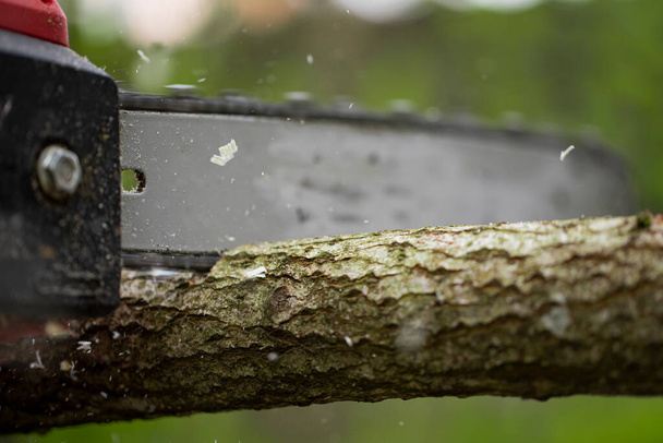 Sierra de cadena en acción cortando madera. Hombre cortando tronco de árbol, aserrín volar a los lados
 - Foto, imagen